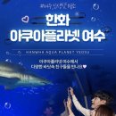 오대양스크린 | [특가 8/1~7] 여수 가볼 만한 곳 :: 아쿠아 플라넷 (가격, 후기, 시설 안내)