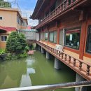 애니닭갈비 이미지