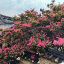 육신사(구) 이미지