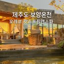 동양스프링 | 제주도 온천 JW메리어트제주 오레브 핫스프링앤스파 내돈내산 후기