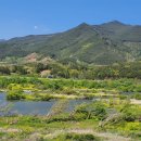 섬진강농장 이미지