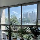 단이네일 - 7080 | 단이네일