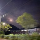 원지분식 이미지