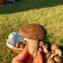 송암2농장 이미지