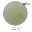 J0841 네이버블로그