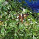 상수리숲농장 이미지