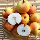 백두산 여행 3박 4일 셋째 날과 넷째 날(8/14~15): 장백폭포, 해란강 호텔, 연변 사과배, 쇼핑