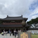 주차71 | 71회 부여 백제문화제 다녀왔어요 행사일정 주차 푸드트럭 등 실시간 후기!