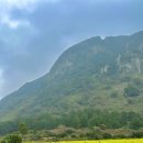 산방산 머물다 이미지