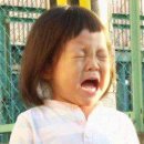 리얼민트 네이버블로그