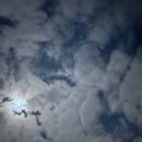 달하나빛 이미지