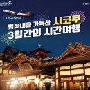 제이티비 이미지