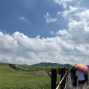 도실목장 이미지