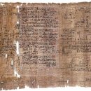 파피루스(Papyrus)