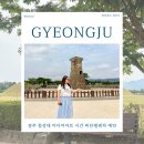 동양자동차써비스 | 경주 첨성대 미디어아트 시간 비단벌레차 예약 주변 함께 가볼만한곳