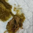 영등포아크로 동물병원 이미지