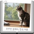 Pet14고8648 | 한국 고양이의 정체성 코숏, 코리안 숏헤어 성격, 특징, 종류
