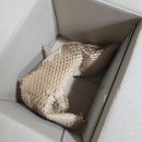 아람약품 | 식물성 멜라토닌으로 수면질 개선! 닥터아람 멜라비건 후기