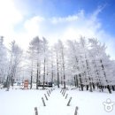 혈동목장 이미지