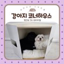 코모네 펫하우스 이미지
