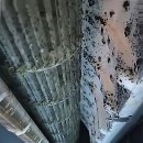 연세조은정신건강의학과의원 | 꿉꿉한 여름 대비, 천안에어컨청소는 무조건 여기!