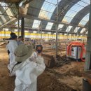 왕성축산 이미지