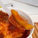 12월일상(3) 해피빠스데이