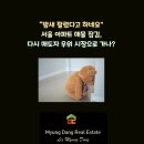 가나공인중개사사무소 | “밤새 팔렸다고 하네요” 서울 아파트 매물 잠김, 다시 매도자 우위 시장으로 가나?