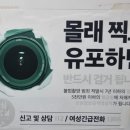 법무사문상근사무소 | 몰카범 처벌 규정(성폭력처벌법 제14조 제1항)