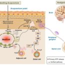 무림한의원 이미지