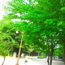 오마어린이공원 이미지