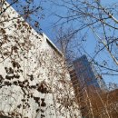 을목식당 이미지