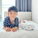 수원-2041 | 아이방 침대 고민된다면? 슈퍼싱글 사이즈 일룸 링키플러스 추천