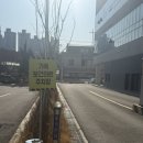 (사)인구보건복지협회전북지회가족보건의원 | 전주 인구보건복지협회 전북지회 가족보건의원에서 30주 임산부 백일해접종 후기