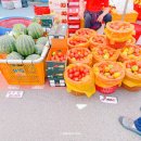 불로잡화