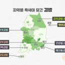 오늘의;초록김밥
