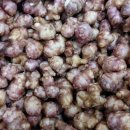 언덕농장2 이미지