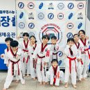 용인대타이곤 태권도 체육관 | [신촌초태권도] 용인대타이곤태권도-08월 국기원 승품단심사🥋