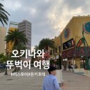 <오키나와 뚜벅이 여행> 일일버스투어 후기, 국제거리 돈키호테, 스시로,태닝키티 키링, 오키나와 티셔츠