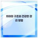 서울뿌리치과의원 이미지