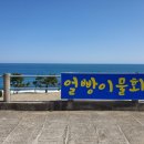 얼빵이물회