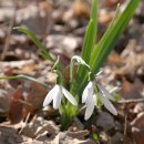 마중가는길 이미지