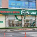 샤브마니아 반석점