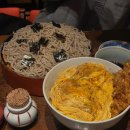 (주)그린정비 | 후쿠오카 2박3일 일정 1일차 | 그린패스, 텐진역 근처, 마이즈루·오호리·모모치해변 벚꽃