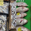 8월16일, 파조기, 참조기, 자연산민어, 병어... 맛있게 드시고 건강하세요 이미지