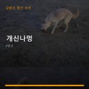 개신나멍