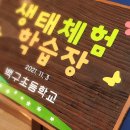 백구초등학교
