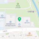 에스블링 눈썹 속눈썹펌 세종