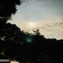 파피루스 캠핑장 | 포천 파피루스캠핑장 후기 | 별빛 아래 힐링한 1박 2일 캠핑 이야기