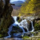 중천마을회관 이미지